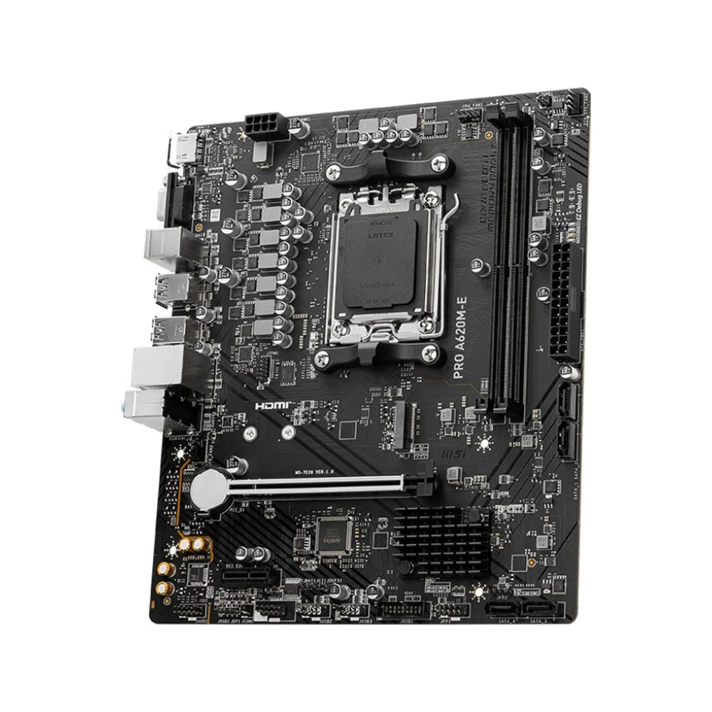 MSI M/B PRO A620M-E